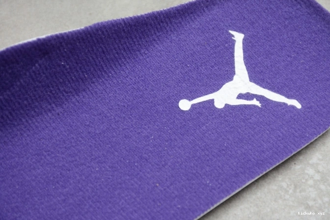 Air Court Purple CT8527-115 4 Jordan 0811